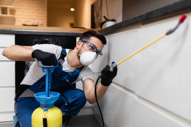 Best Pest Control Treatment  in Robinson, IL