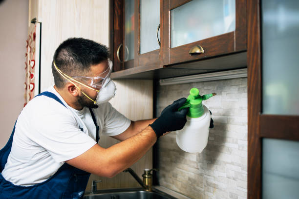 Best Residential Pest Control  in Robinson, IL