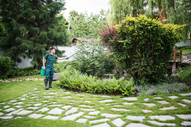 Best Wasp Removal Services  in Robinson, IL