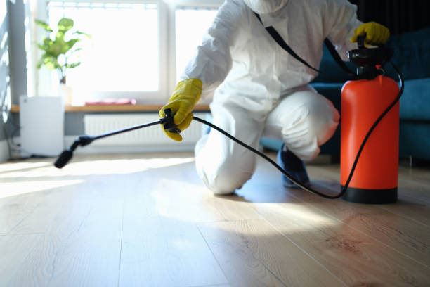 Best Affordable Pest Control Services  in Robinson, IL