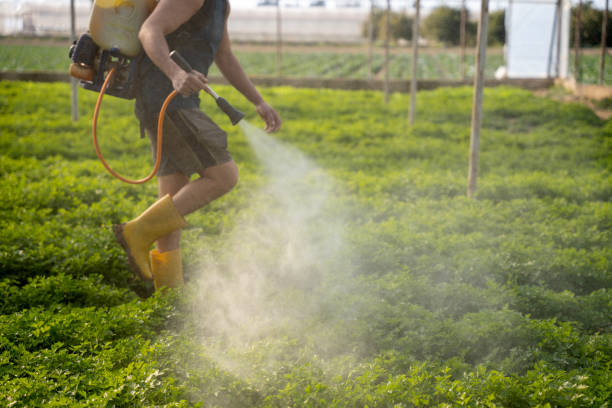 Best Mosquito Control Services  in Robinson, IL