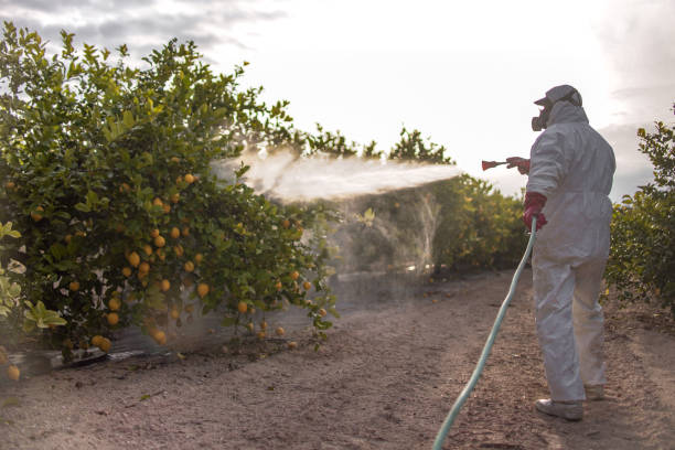 Best Best Pest Control Companies  in Robinson, IL