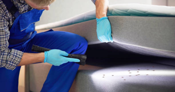 Best Wildlife Control Services  in Robinson, IL