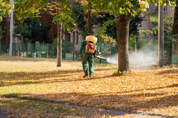Best Mosquito Control Services  in Robinson, IL