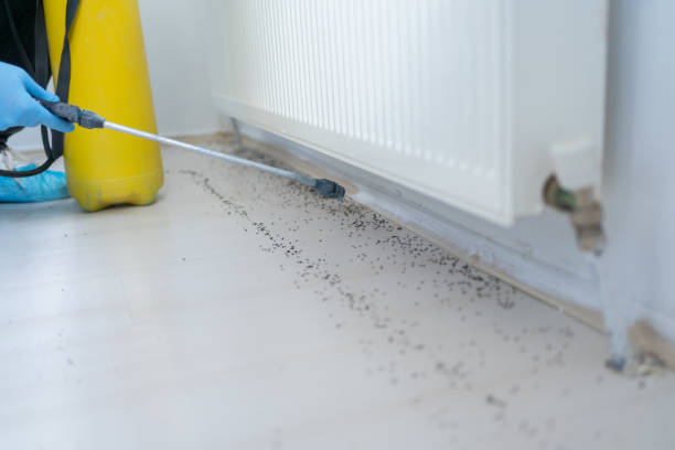 Best Exterminator Services  in Robinson, IL