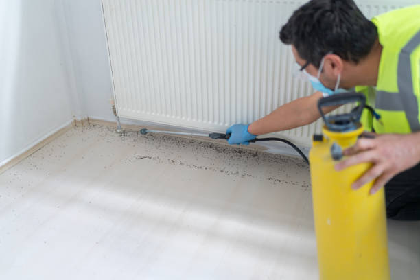 Best Pest Inspection Near Me  in Robinson, IL